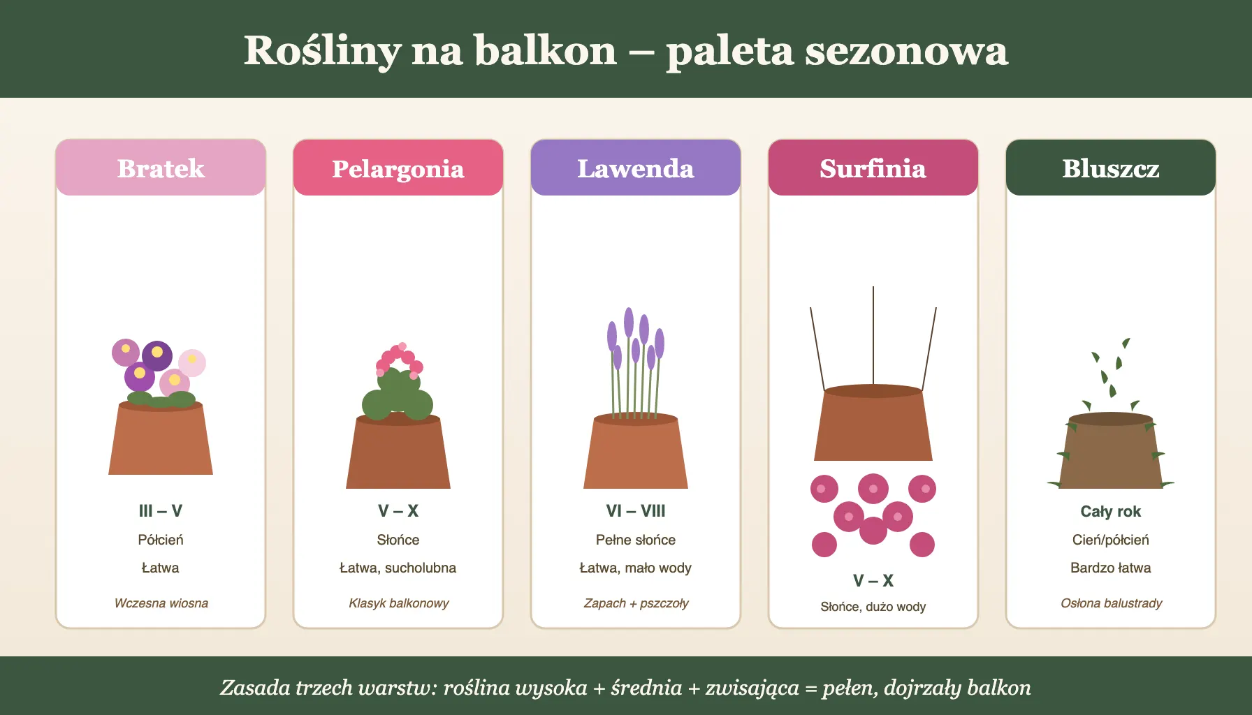 Rośliny balkonowe paleta sezonowa - bratek, pelargonia, lawenda, surfinia i bluszcz w doniczkach na balkon po zimie